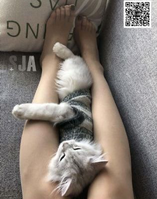 正道无敌